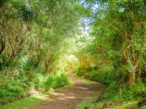 Le parcours de santé